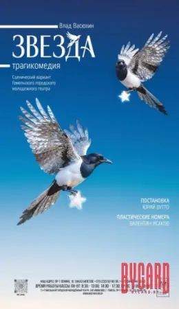 Звезда