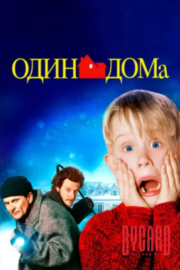 Кинематографическое мероприятие «Встреча с кумирами: «Один дома» (малый зал)