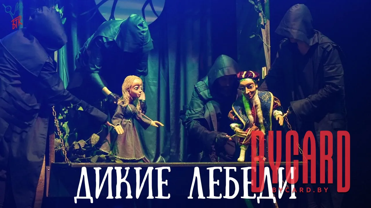 Дикие лебеди