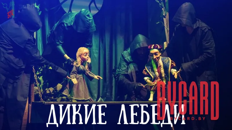 Дикие лебеди