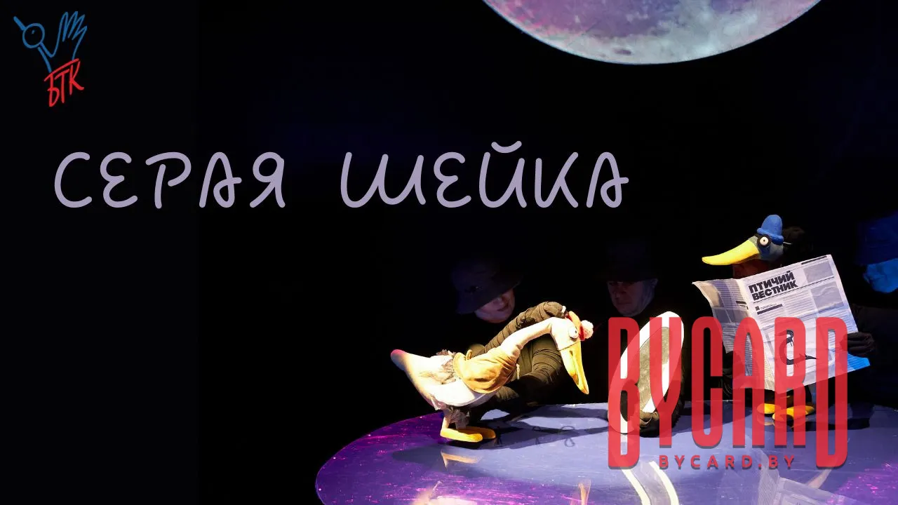 Серая Шейка