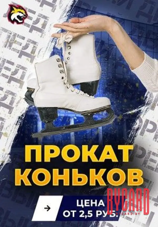 Прокат коньков