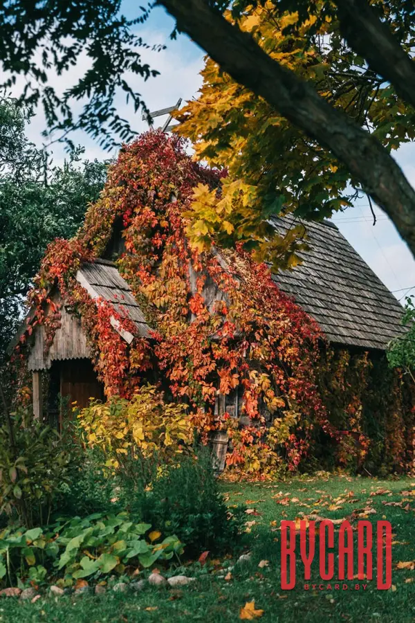 Экскурсіі ў Фальварак Ракуцёўшчына