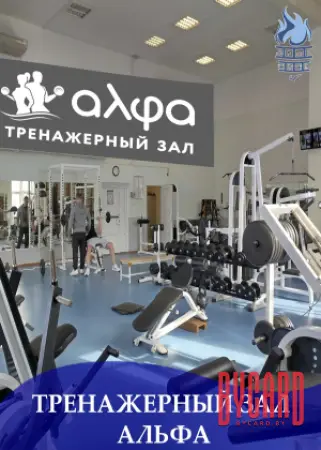 Тренажёрный зал АЛЬФА ГОКЦОР
