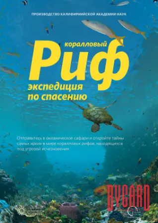 Коралловый риф. Экспедиция по спасению