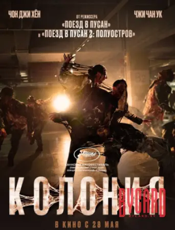 Колония