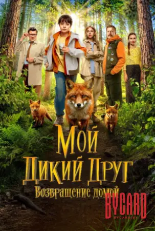 Мой дикий друг. Возвращение домой